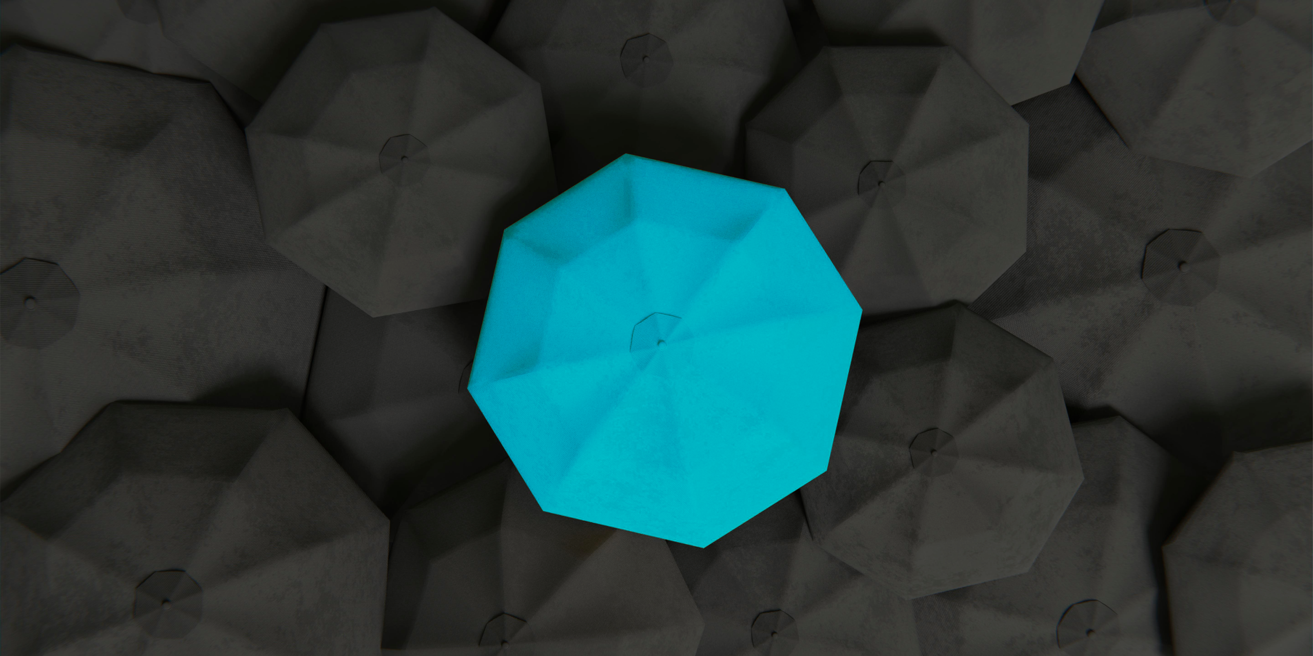 Featured Image E1692365994650